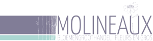 Molineaux